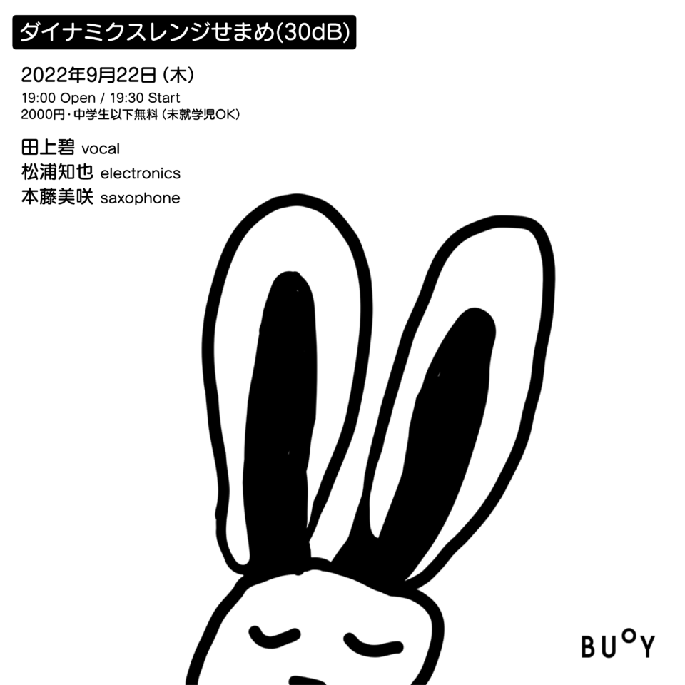  30dB Silent Music Party BUoY